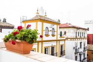 einen Blumentopf auf einem Balkon mit einem Gebäude in der Unterkunft Hotel Boutique Elvira Plaza in Sevilla