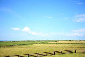 una recinzione in mezzo a un prato di Cahermaclanchy House B&B a Doolin