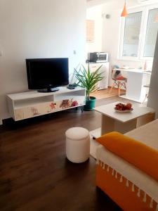 sala de estar con TV de pantalla plana sobre una mesa en Grkov Apartment, en Skopje