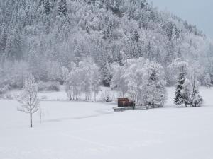 ゴールデックにあるHotel Seeblickのベンチと木々が雪に覆われた畑