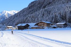 uma pessoa em esquis na neve em frente a um alojamento de turismo selvagem em Ferienwohnung Lerchenhof em Wald im Pinzgau