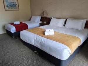 Cama ou camas em um quarto em Seaton Arms Motor Inn