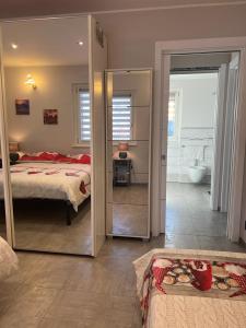 um quarto com um espelho e uma cama e uma casa de banho em Villa Kate alloggio ad uso turistico VDA Gressan 0161 em Aosta