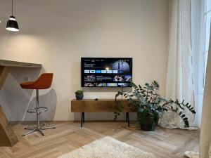 TV i/ili zabavni centar u objektu Bel appartement au centre du vieux Joigny