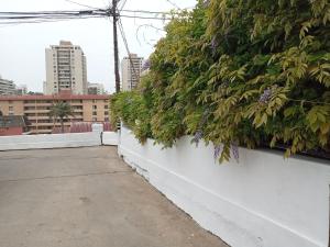 Bild i bildgalleri på Hostal Tres casas i Viña del Mar