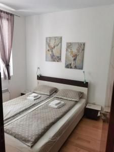 A bed or beds in a room at FOKA APARTMANI 30 m from Junior