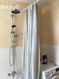 La salle de bains est pourvue d'une douche avec un rideau de douche blanc. dans l'établissement Ferienwohnung RIENA, à Riesa