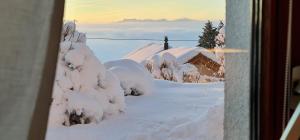 - une vue sur une cour enneigée depuis une fenêtre dans l'établissement Mont Blanc Chalet, à Grandevent