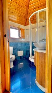 a blue tiled bathroom with a toilet and a sink at Casa do Rio Alva in Arganil