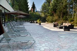 una fila de sillas y sombrillas en un patio en Hotel Kaiseralm, en Bischofsgrün