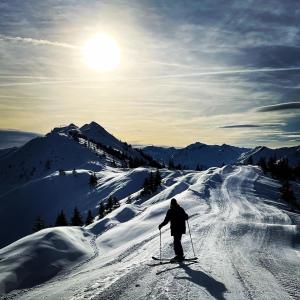 Chalet Franzi - Ferienhaus für die ganze Familie im Gasteinertal v zime