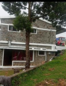 een palmboom voor een gebouw bij KODAIKANAL HOME STAY in Kodaikānāl