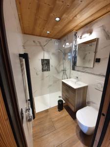 uma casa de banho com um chuveiro, um lavatório e um WC. em Chalet Delphinette - Spa privatif em Morzine