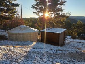 山林小屋附近的自然景觀