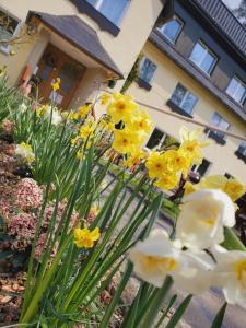 un bouquet de fleurs jaunes et blanches devant une maison dans l'établissement Pension Am Nationalpark, à Stadt Wehlen