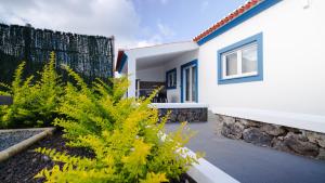 une maison blanche avec des plantes devant elle dans l'établissement Quinta Rico - House II, à Praia da Vitória