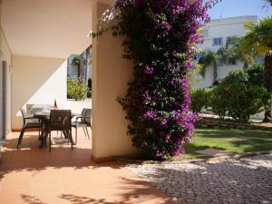 Aed väljaspool majutusasutust Spacious Apartment near Porto de Mos Beach, Lagos.