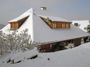 une maison recouverte de neige devant dans l'établissement Apartment Blank by Interhome, à Titisee-Neustadt