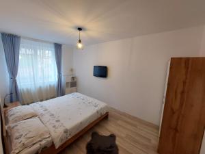 Fotografie z fotogalerie ubytování Youth Central Apartment v destinaci Târgu-Mureş