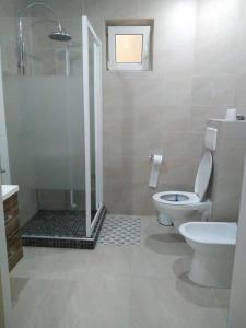 een badkamer met een douche, een toilet en een wastafel bij CASA OFRIM, Bârsana, Maramureș in Bîrsana