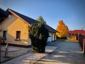 a large bush in front of a house at Crystal Apartman in Mórahalom