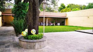 a tree with two volley balls in front of a building at Country Plaza in Guadalajara