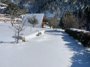 Chalet in the Forest talvella