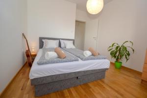 Rúm í herbergi á Shine24 - Spacious and bright apartment - NEW