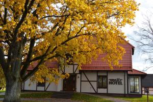 a building with a tree in front of it at Hotel Senlīči in Jelgava