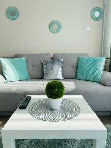 - un salon avec une table basse blanche et une plante dans l'établissement Zrinyi Central Apartman with free parking, à Nyíregyháza