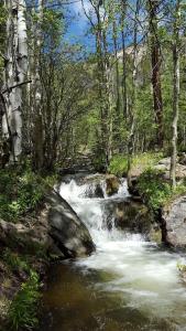 Un paisaje natural cerca del departamento