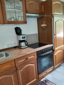 Dapur atau dapur kecil di Ferienwohnung Röbel/Müritz