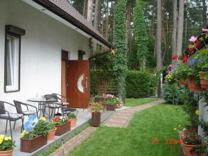 Vrt pred nastanitvijo Beautiful holiday house with swimming pool, only 200m from the lake, Morzyczyn