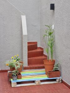 eine Treppe mit Topfpflanzen auf einem bunten Teppich in der Unterkunft Casa boutique, cerca de la Virgen del Cerro en SALTA in Salta