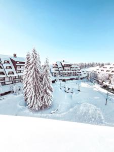 Apartments Suncani Vrhovi Kopaonik durante el invierno