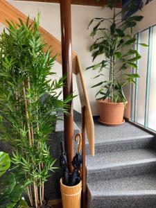 un groupe de plantes en pot assises sur les escaliers dans l'établissement Boutique Hotel & Restaurant Bären Ringgenberg, à Ringgenberg