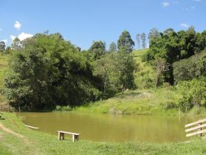 um banco ao lado de um rio com árvores em Pousada Morro Verde em Águas de Lindóia