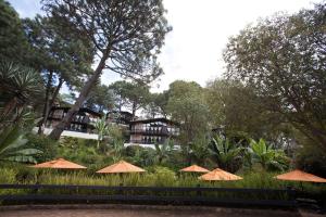 a group of tables with umbrellas in a park at Monteverde in Mazamitla