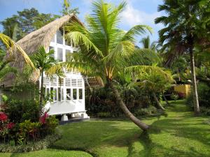 Jardí fora de Jendela Di Bali Villa