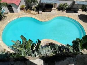 una vista sul tetto di una piscina con piante intorno di Mudzini gardens - Luxury villa with a pool a Mombasa