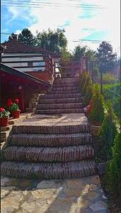 un escalier en pierre menant à un bâtiment dans l'établissement Apartmani Zapis Vrdnik, à Vrdnik