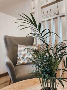 uma sala de estar com uma cadeira e uma mesa com uma planta em Old Town Apartment em Marijampolė