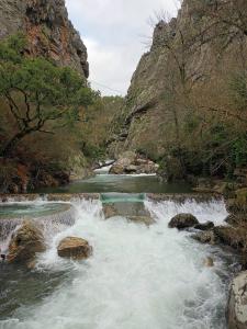 हॉलिडे होम के नज़दीक प्राकृतिक नज़ारा