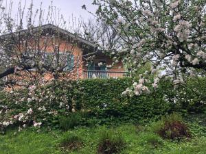 Un jardín fuera de Ferienhaus Eisenach