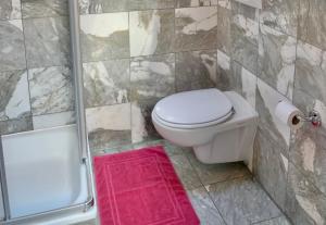 a bathroom with a toilet and a shower at Hotel&Hostel Montarina in Lugano