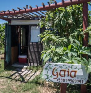 A garden outside Casa Gaia Cabo Polonio