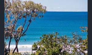 Vistas a una playa con una persona en el océano en Sundeck Gardens, en Maroochydore