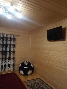 una habitación con TV y una pelota de fútbol en el suelo en Котедж "Затишний відпочинок", en Huklyvyy