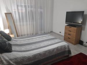 1 dormitorio con 1 cama y TV de pantalla plana en New 33, en Bacău