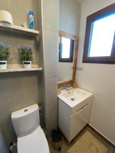 Un baño de Ferienhaus Dana